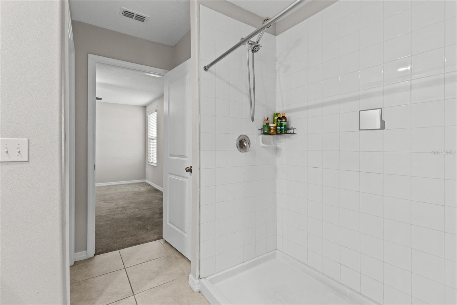 Main Bathroom Walk-in Shower