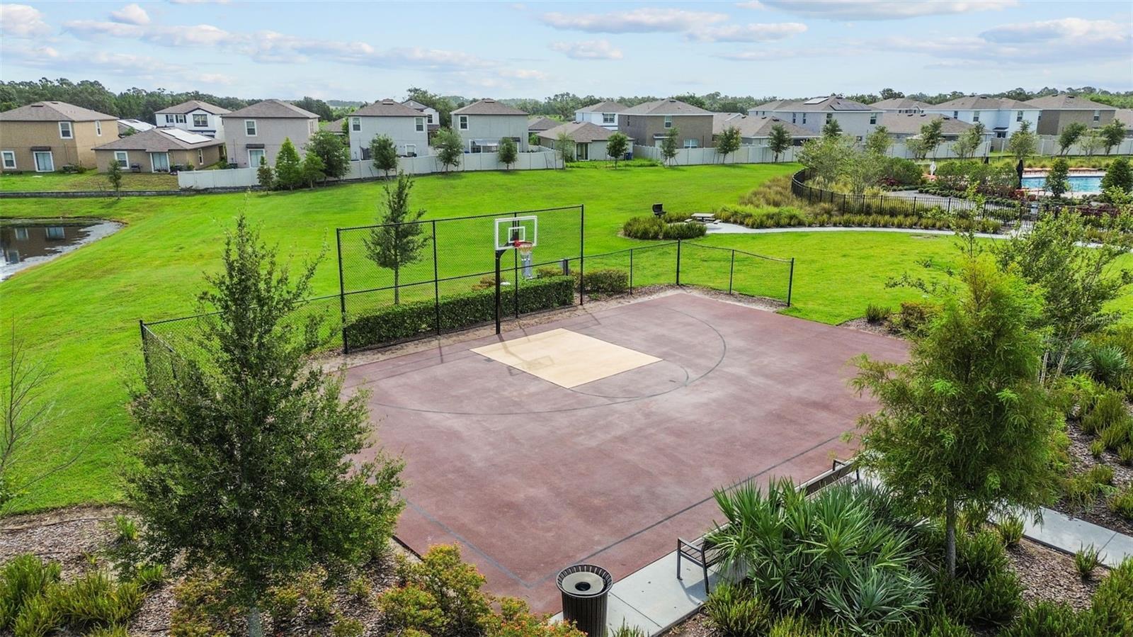 Basketball Court