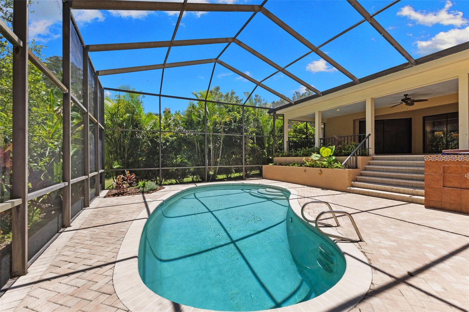 Pool w Paver Decking