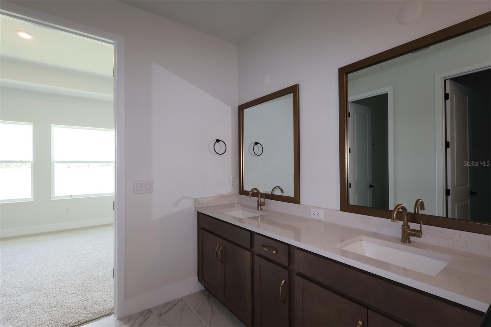 Owner's Bath