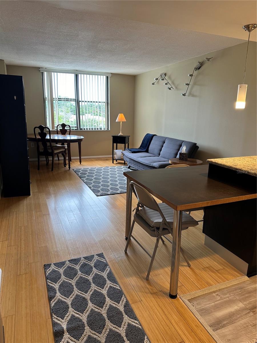 Living Room from Kitchen