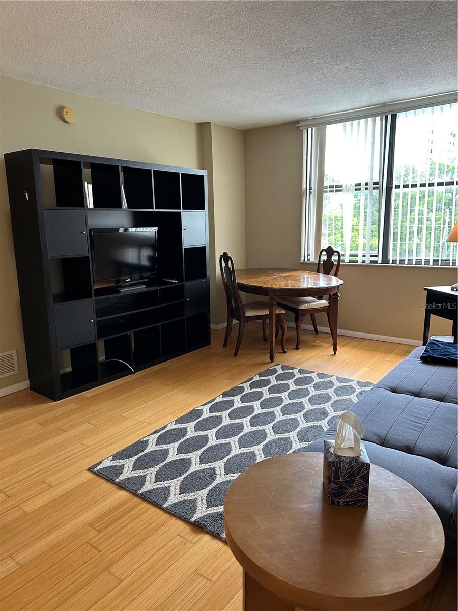 Living room from Kitchen