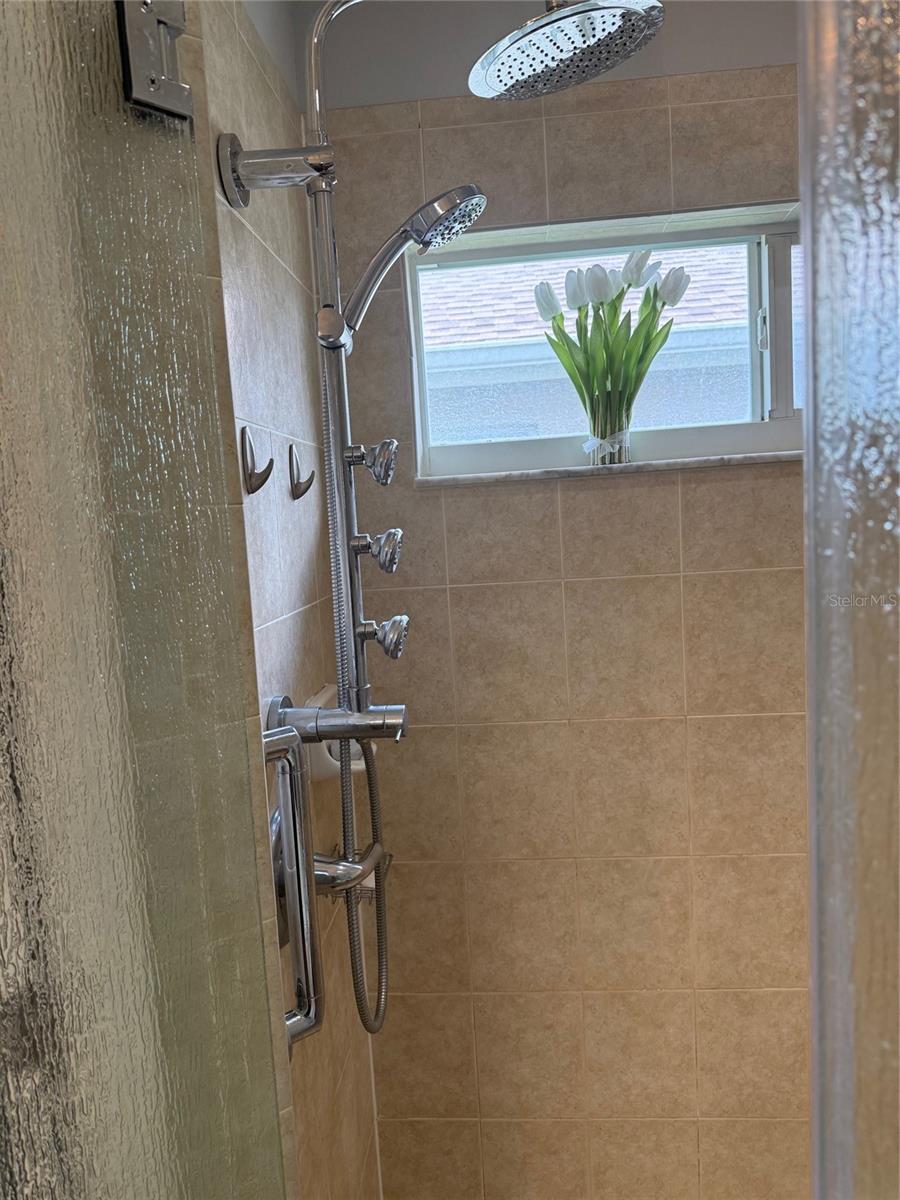 Master Shower Head