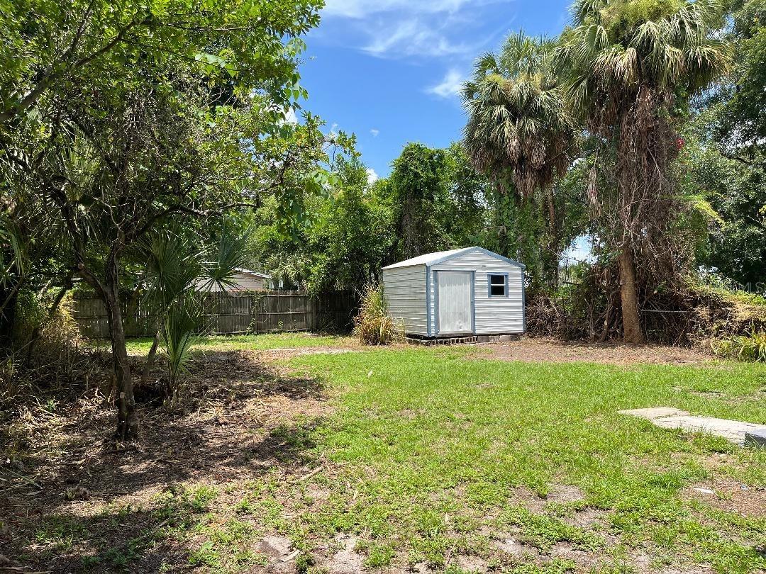 Large Back Yard