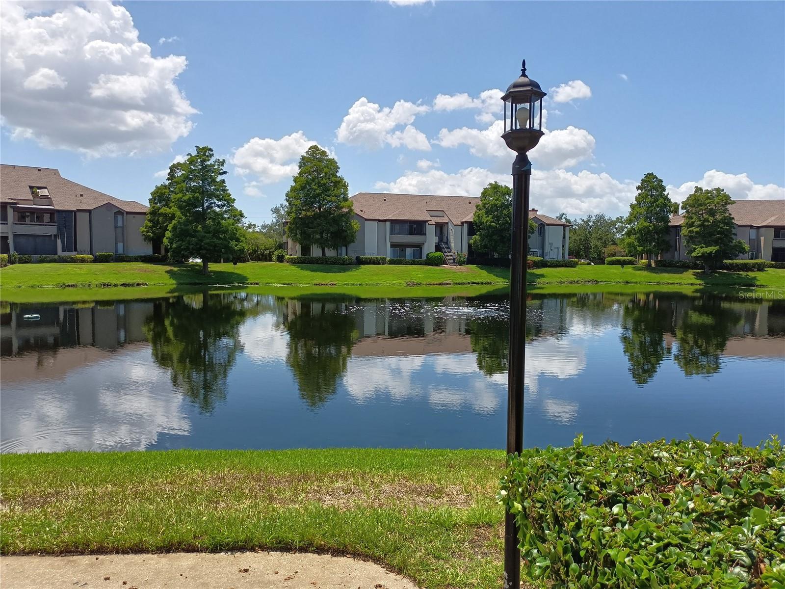Pond