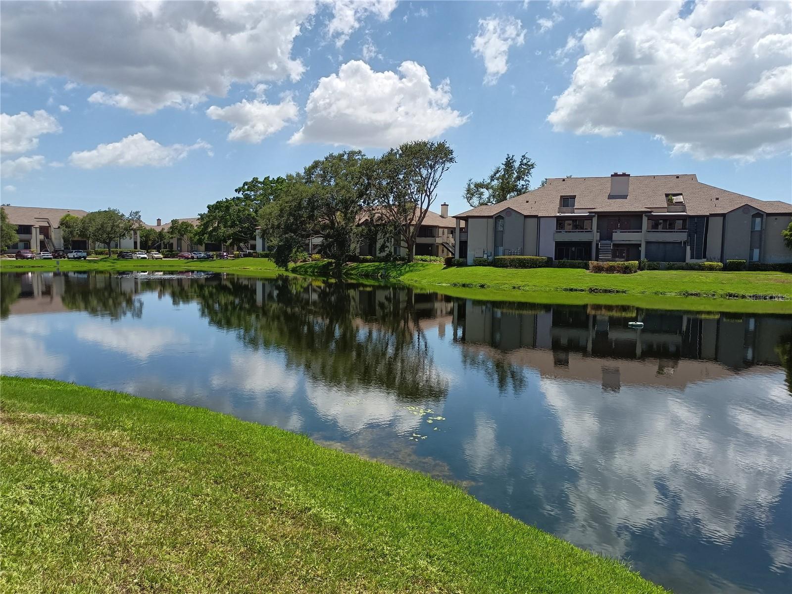 Pond