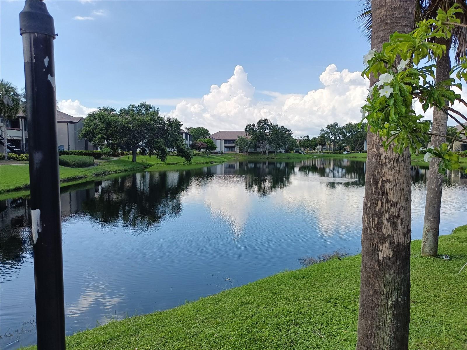 Pond behind clubhouse