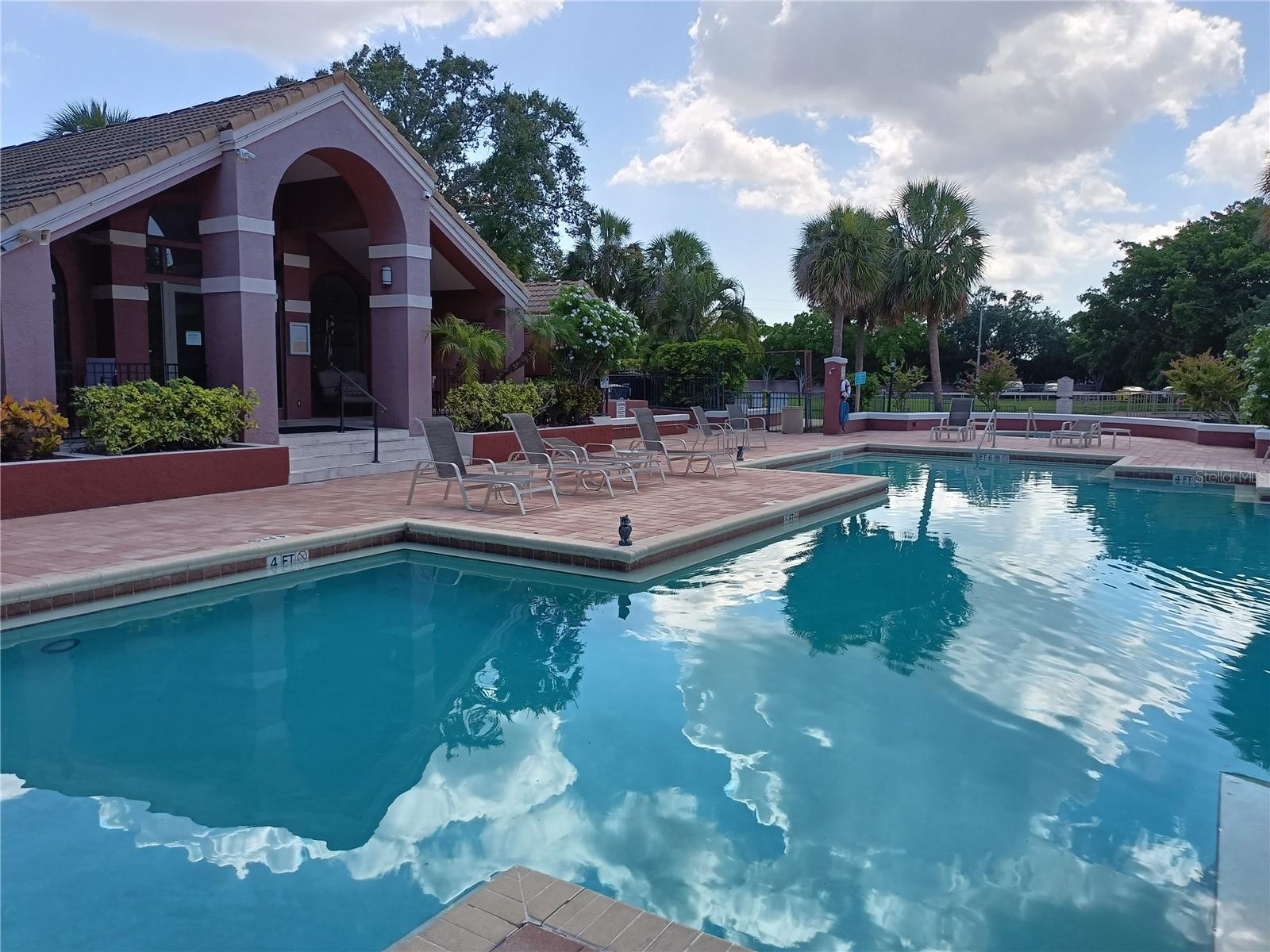 Large pool
