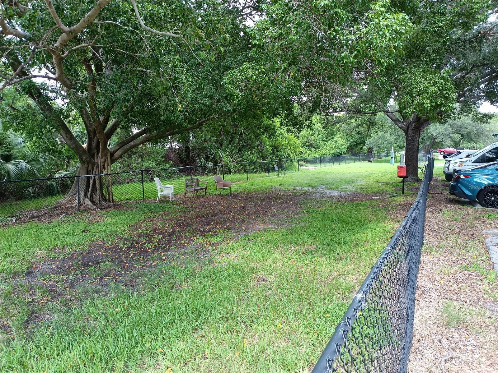 Dog Run