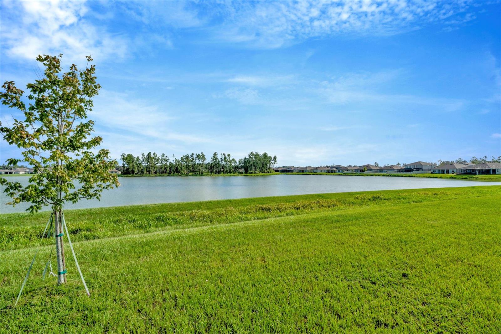 The gorgeous lake