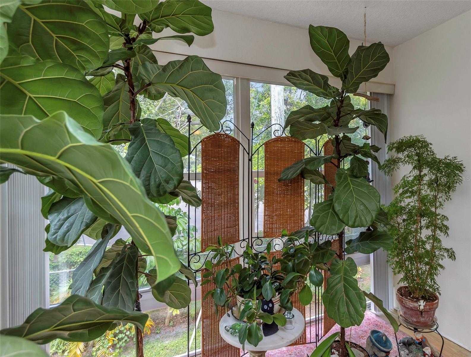 Florida Room
