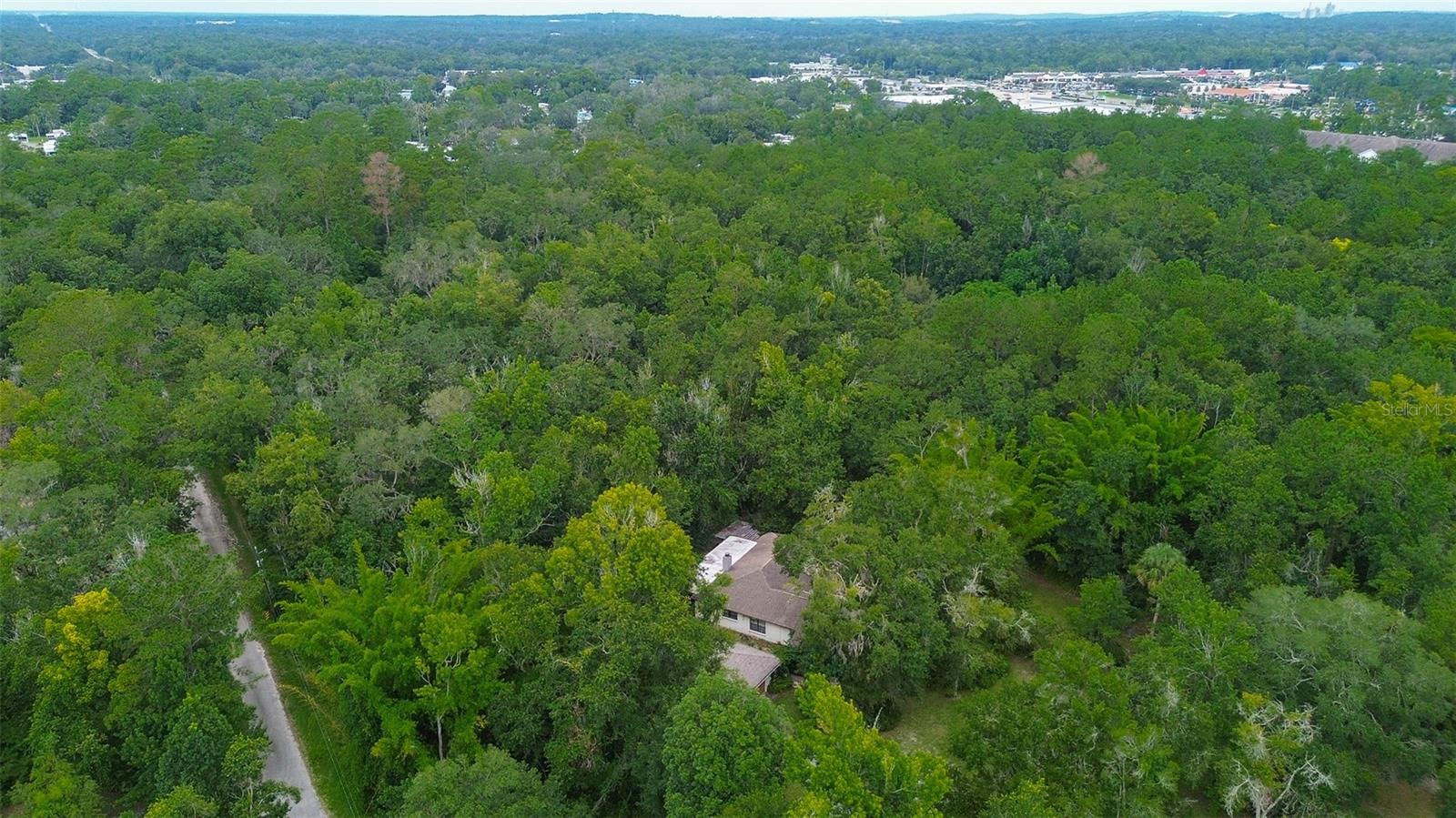 3.14 Acres of wooded land