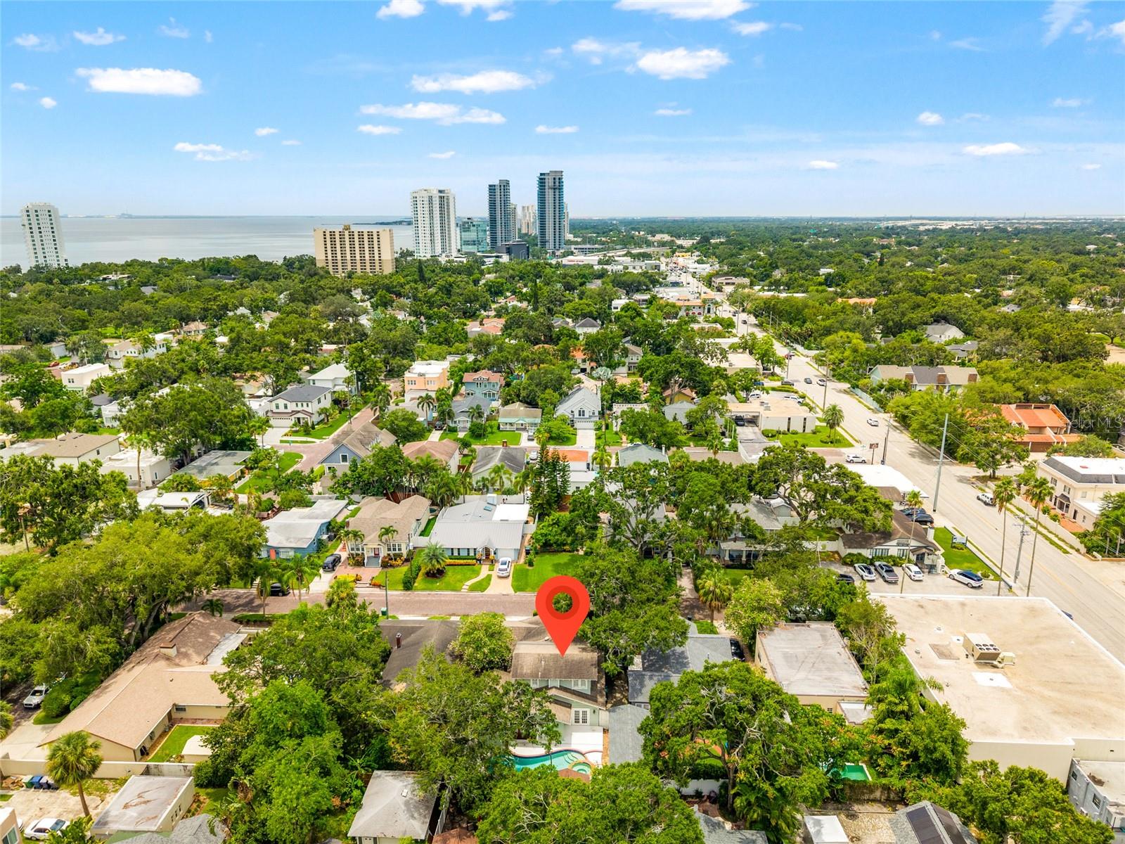 Aerial view #1