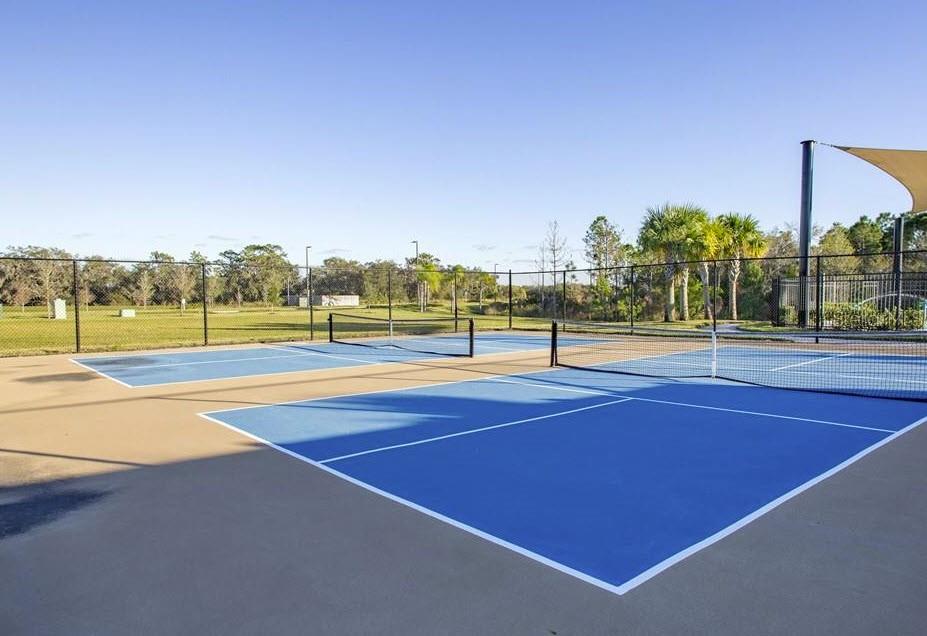 Community Courts