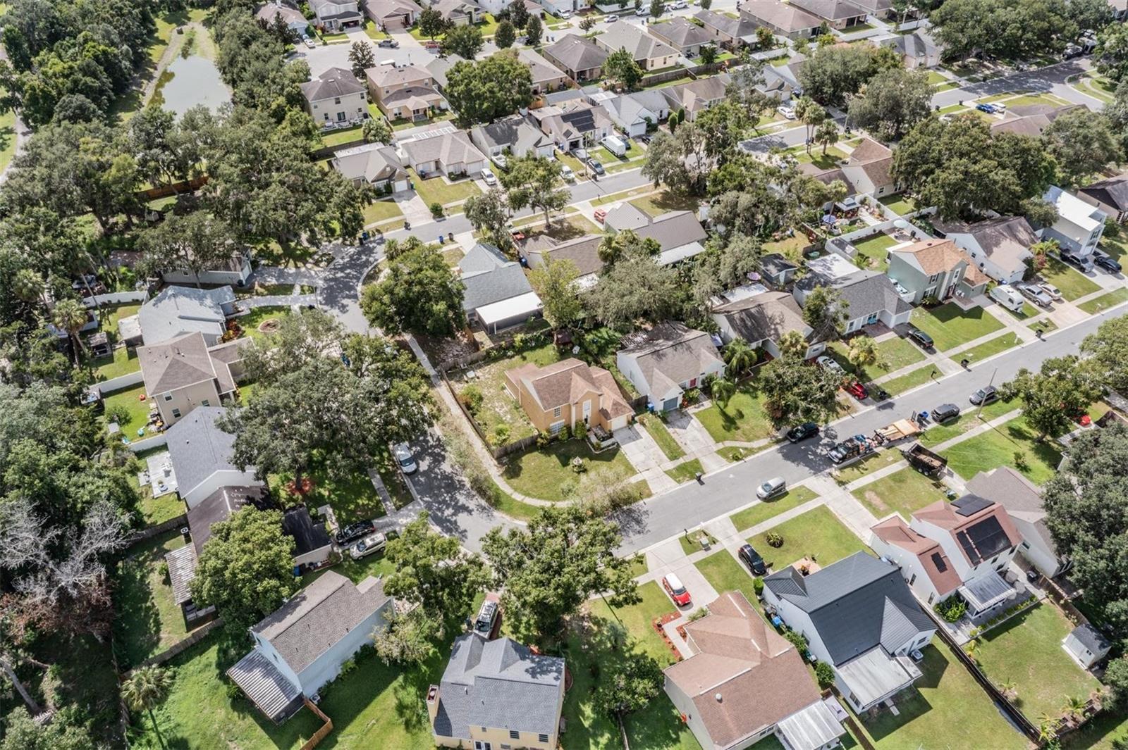 Sky View - Neighborhood