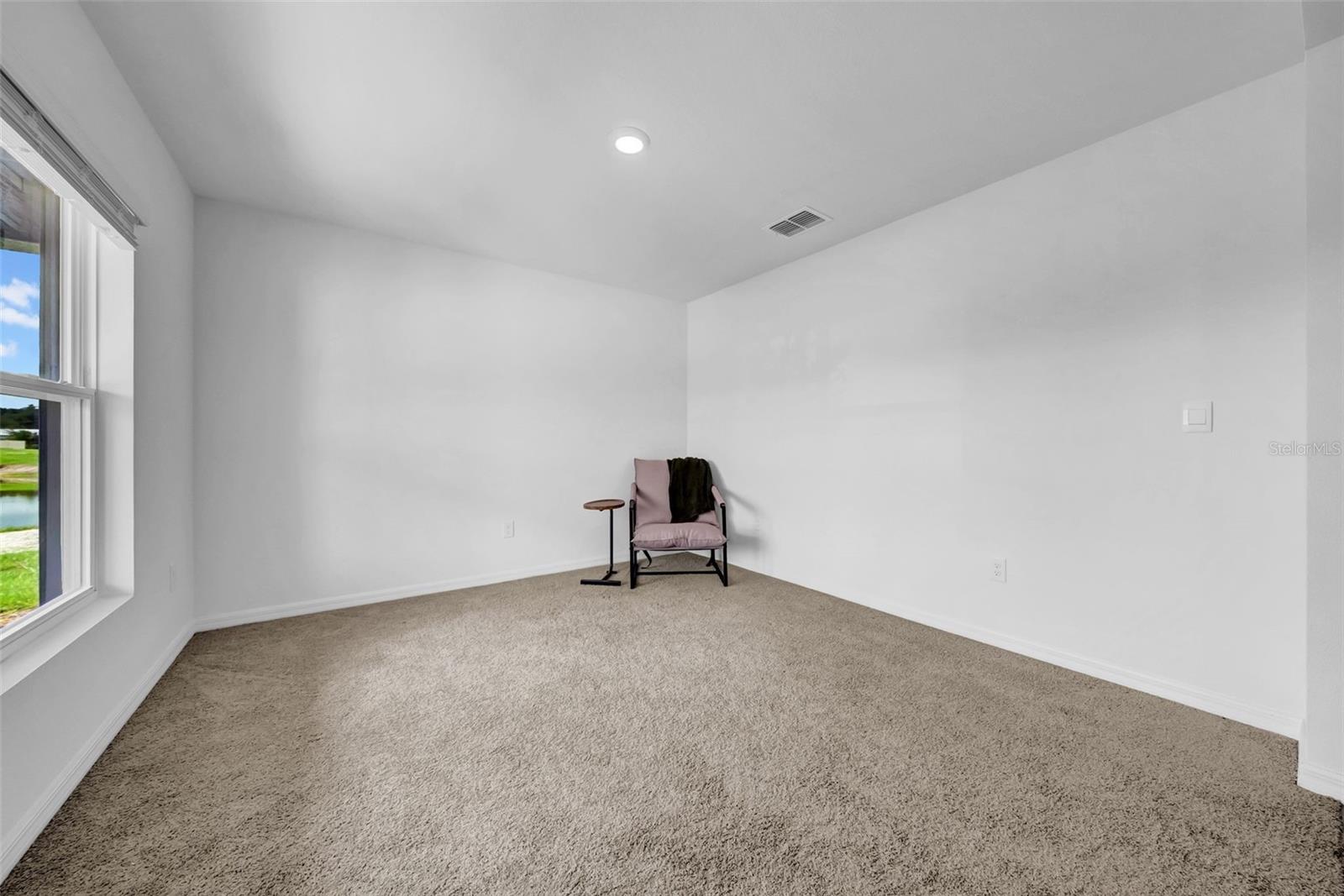 Flex/Bonus Room