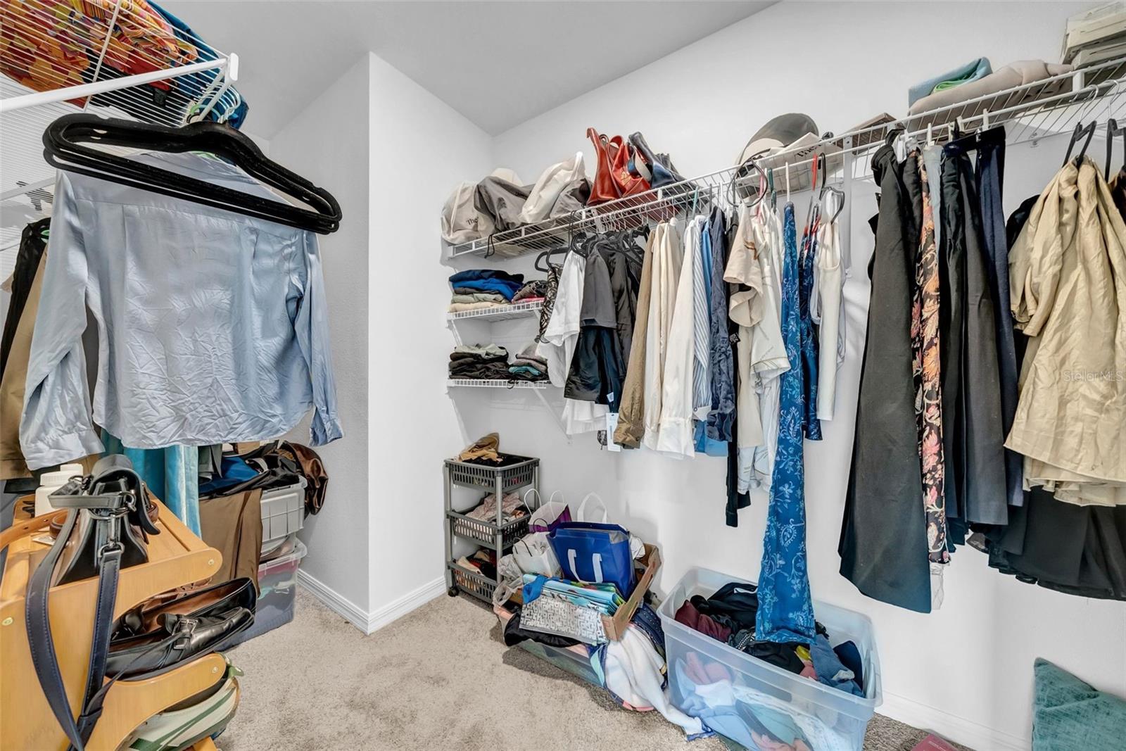 Primary Bedroom Closet #1