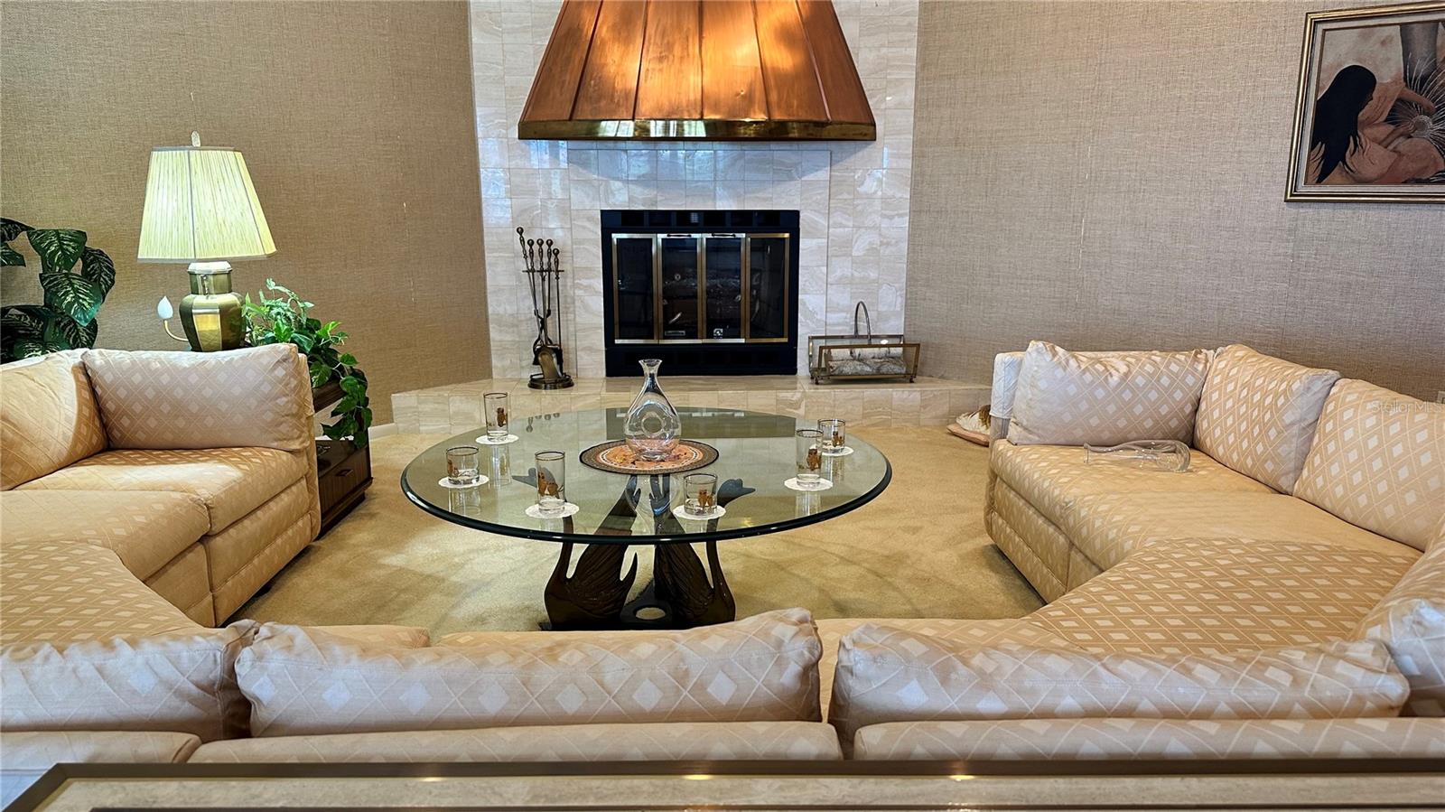 Family Room and Fireplace