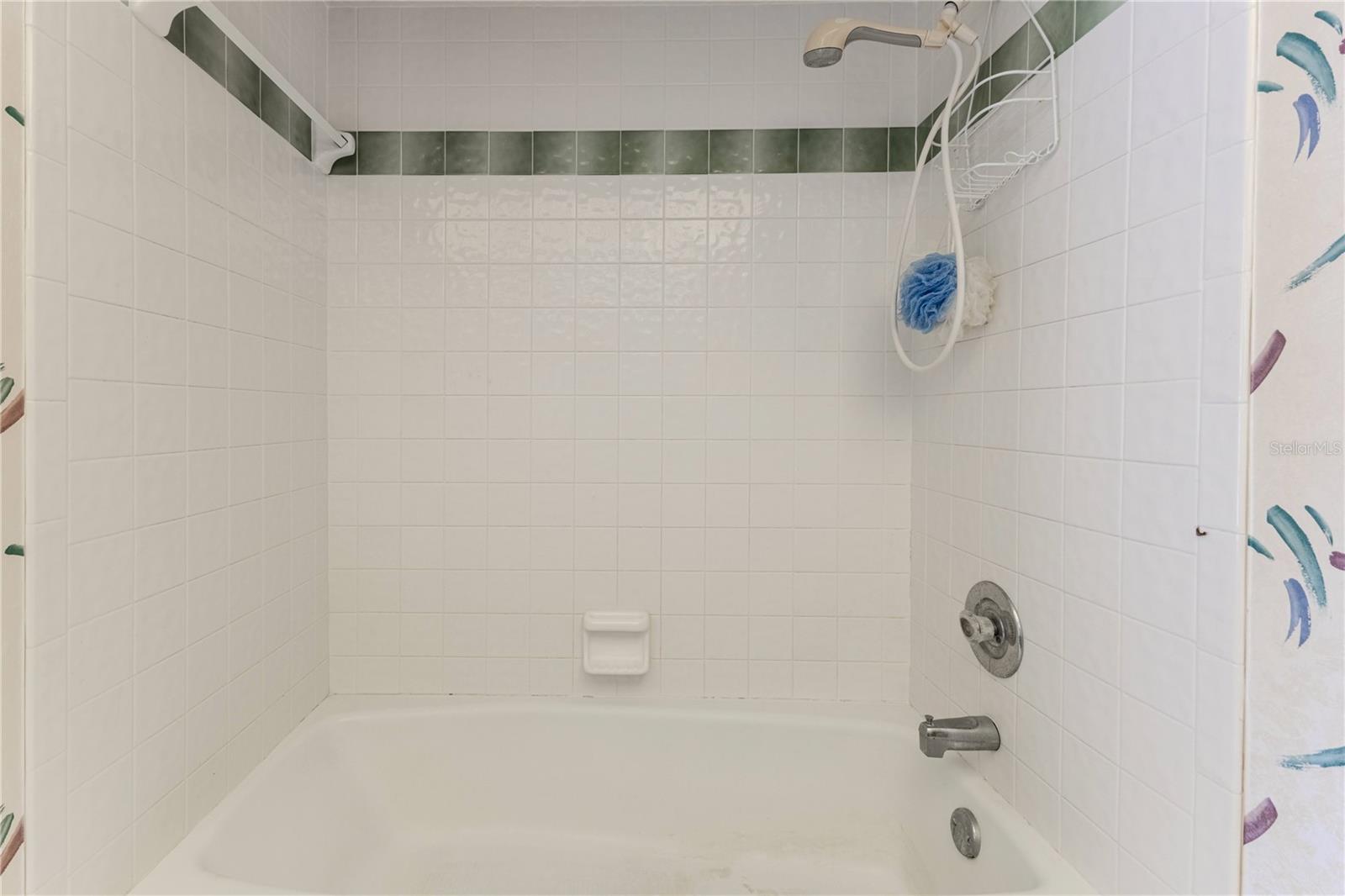 Guest Bath