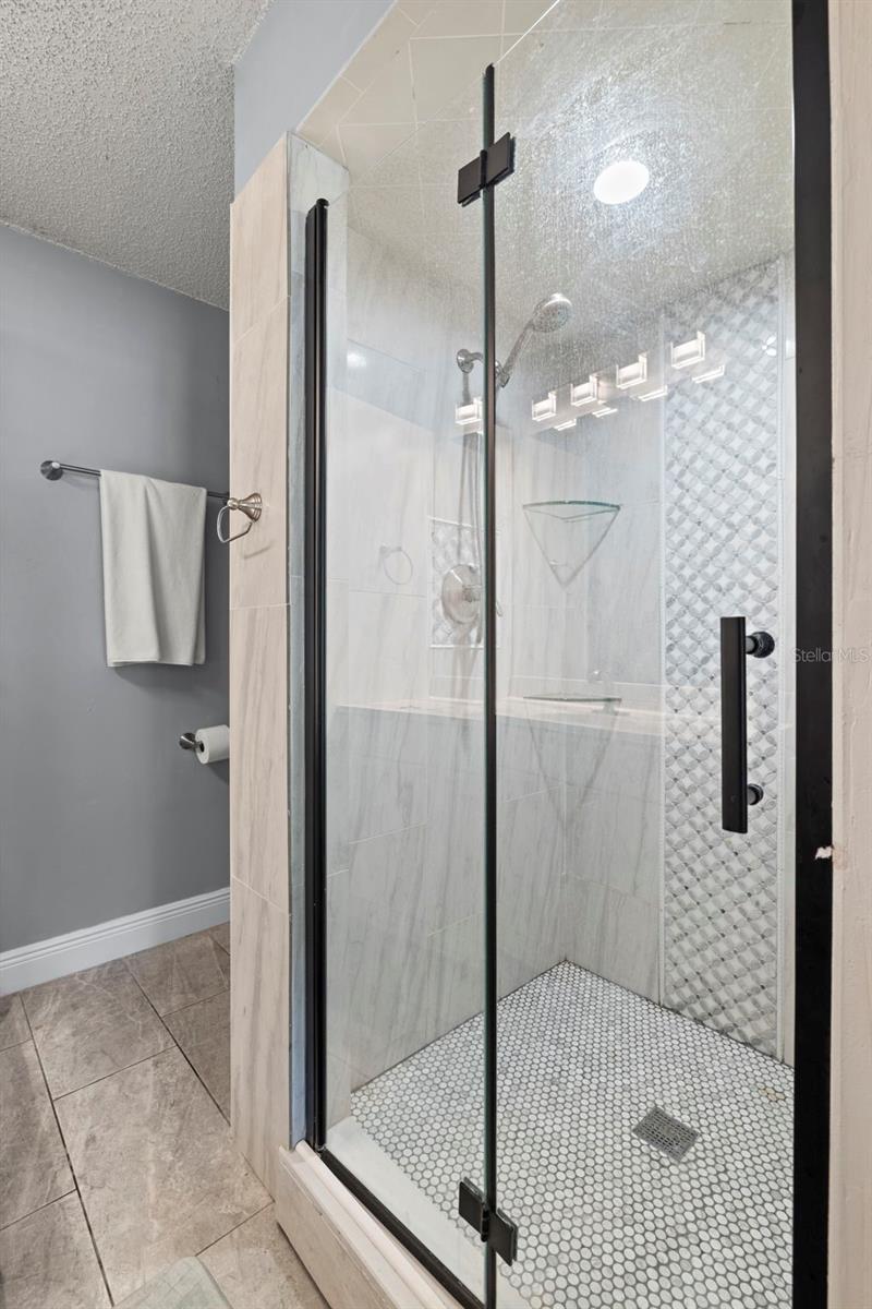 Glass Shower Door in Updated Primary Bathroom
