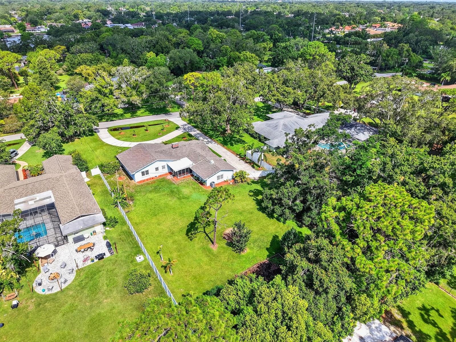 Extra large yard