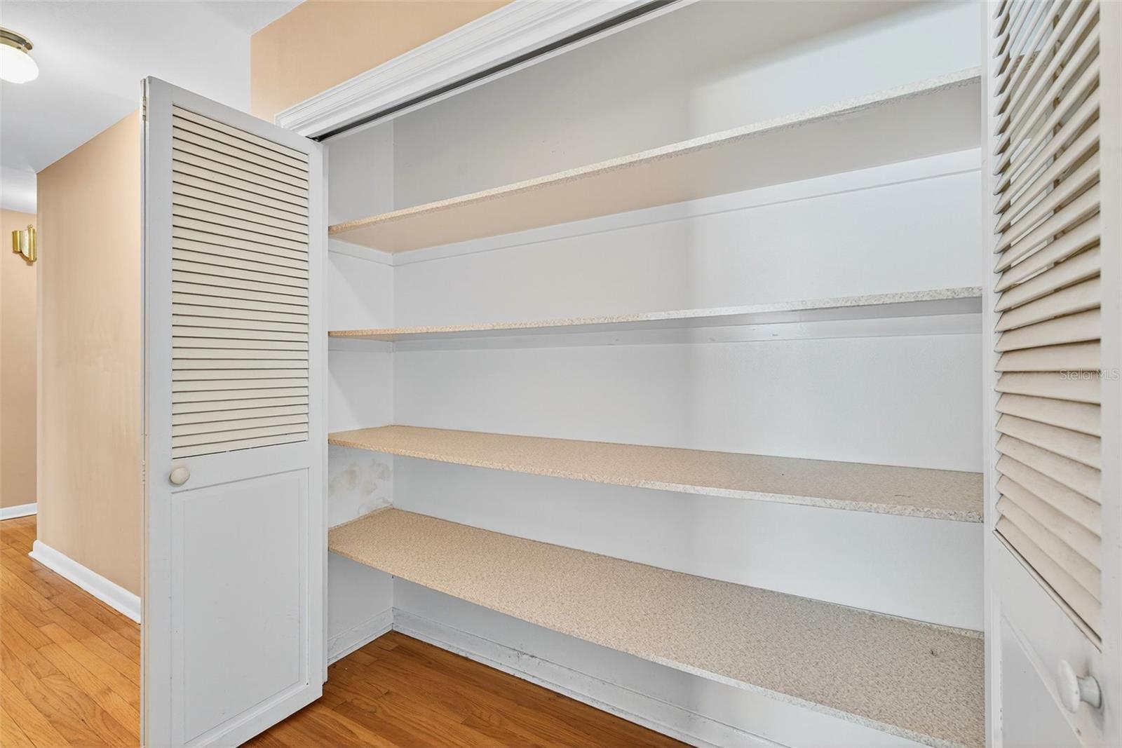 Hall closet storage