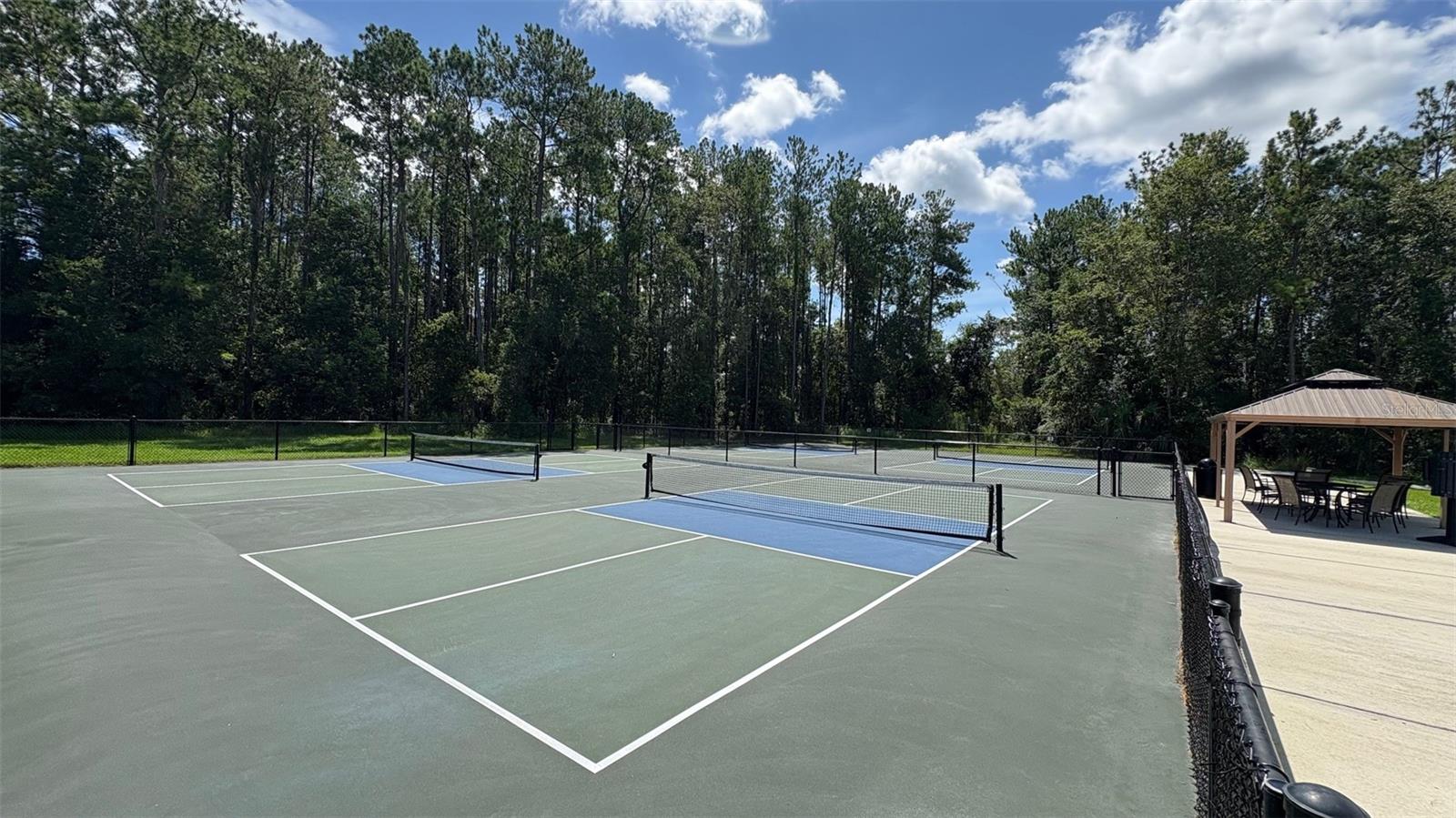 Pickleball