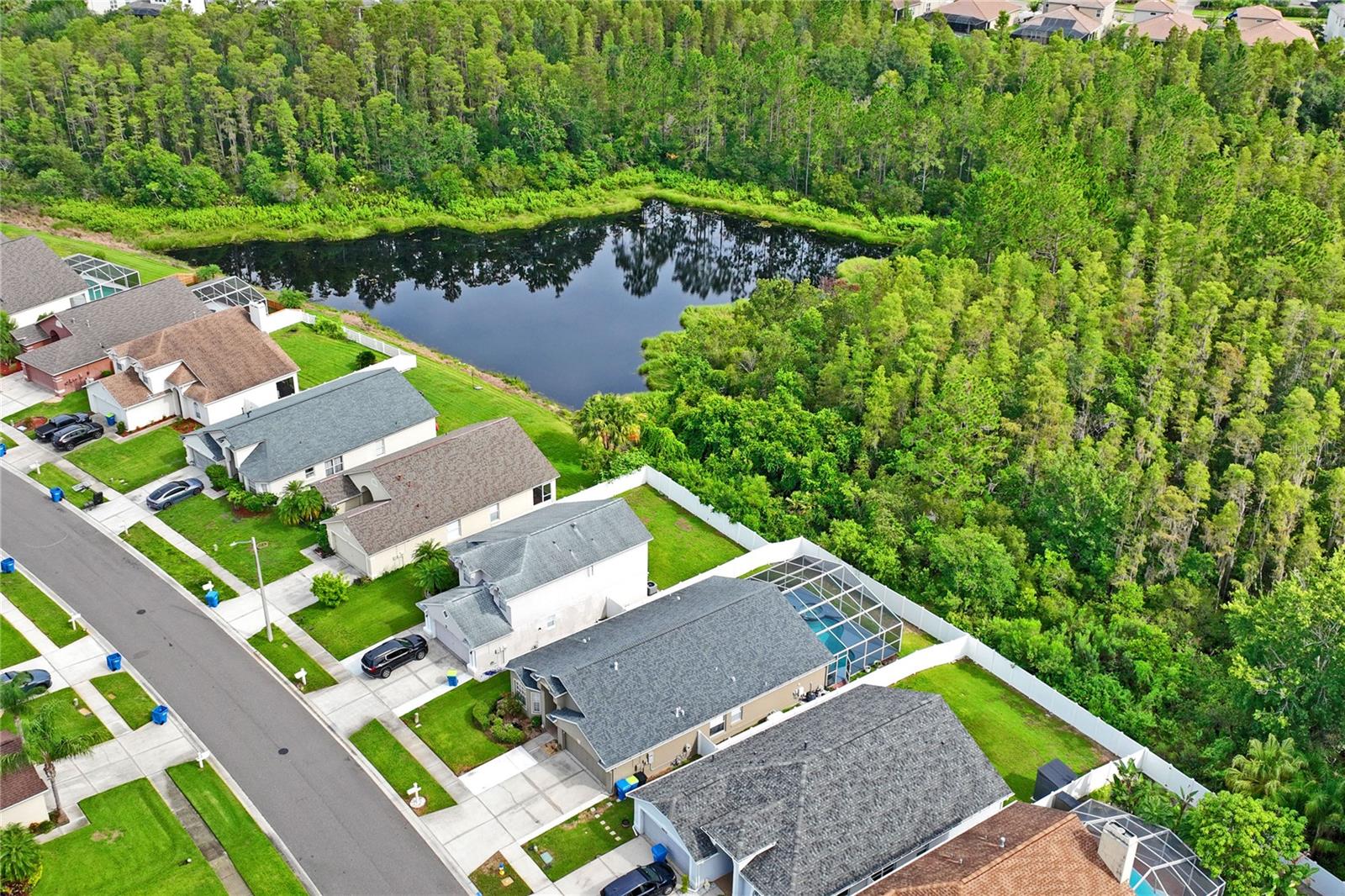 Conservation and Pond view