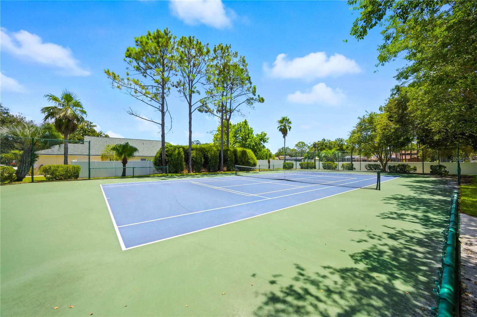 Pickleball/tennis court
