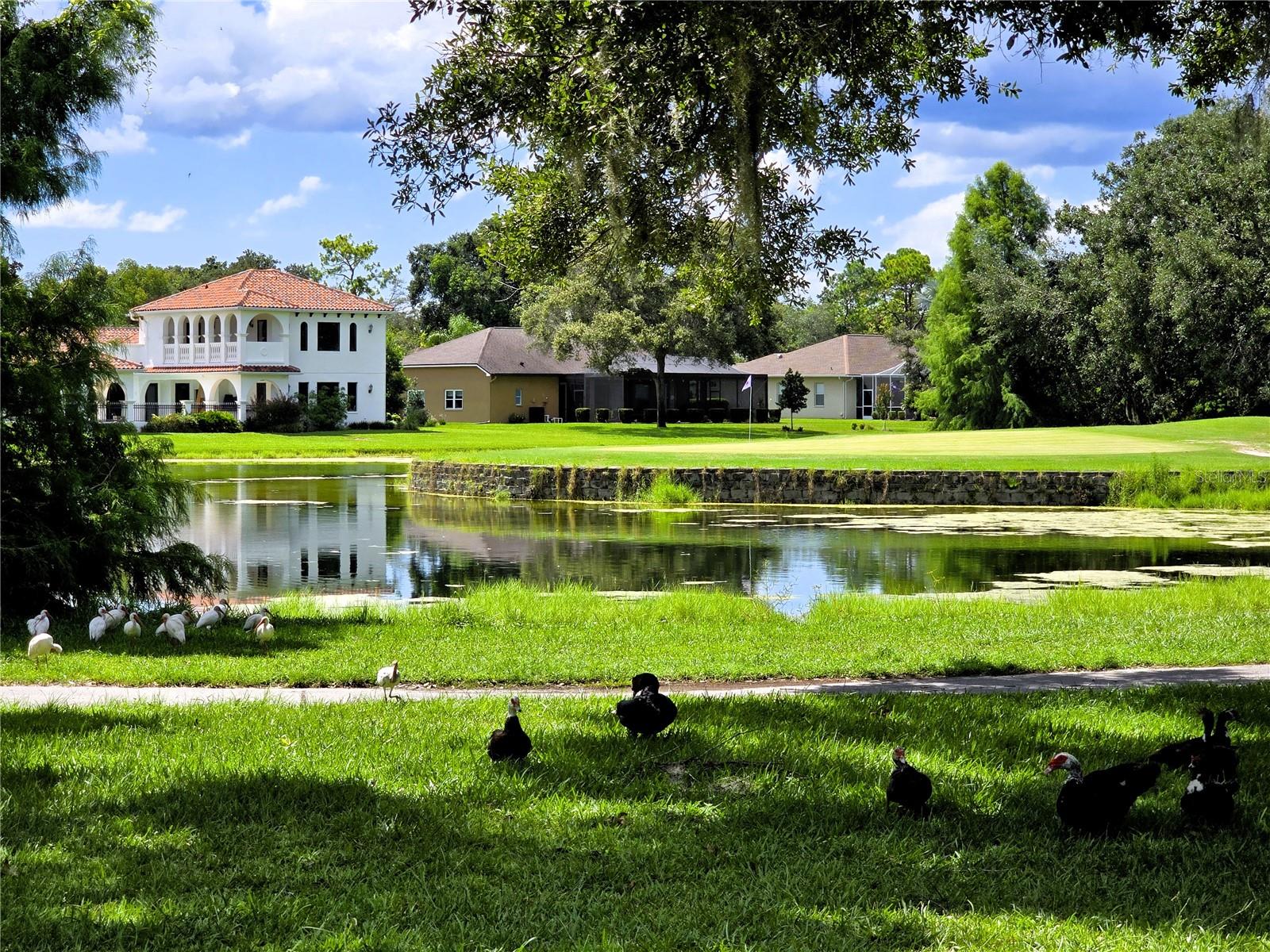 Golf Course