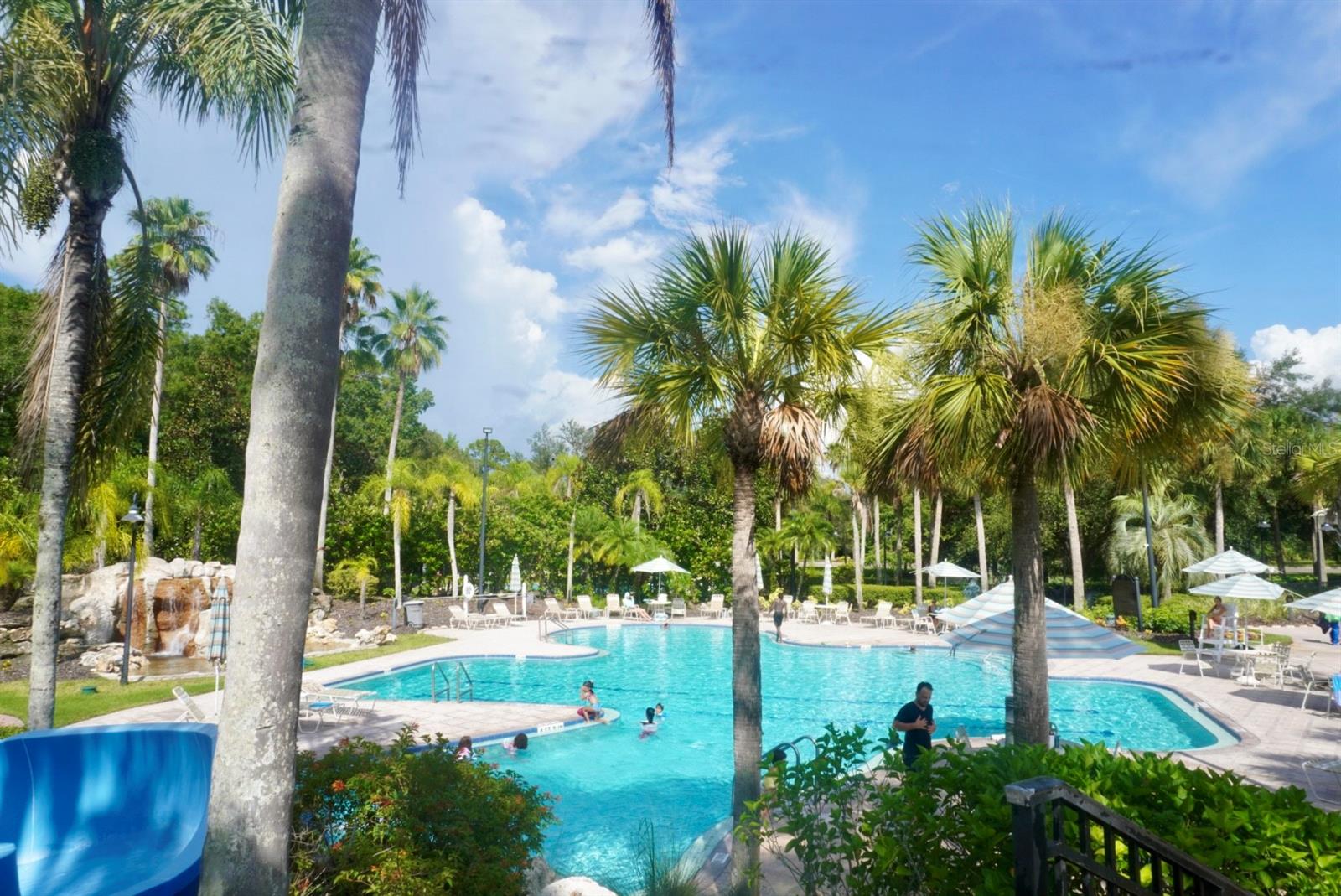 Lavish Pool