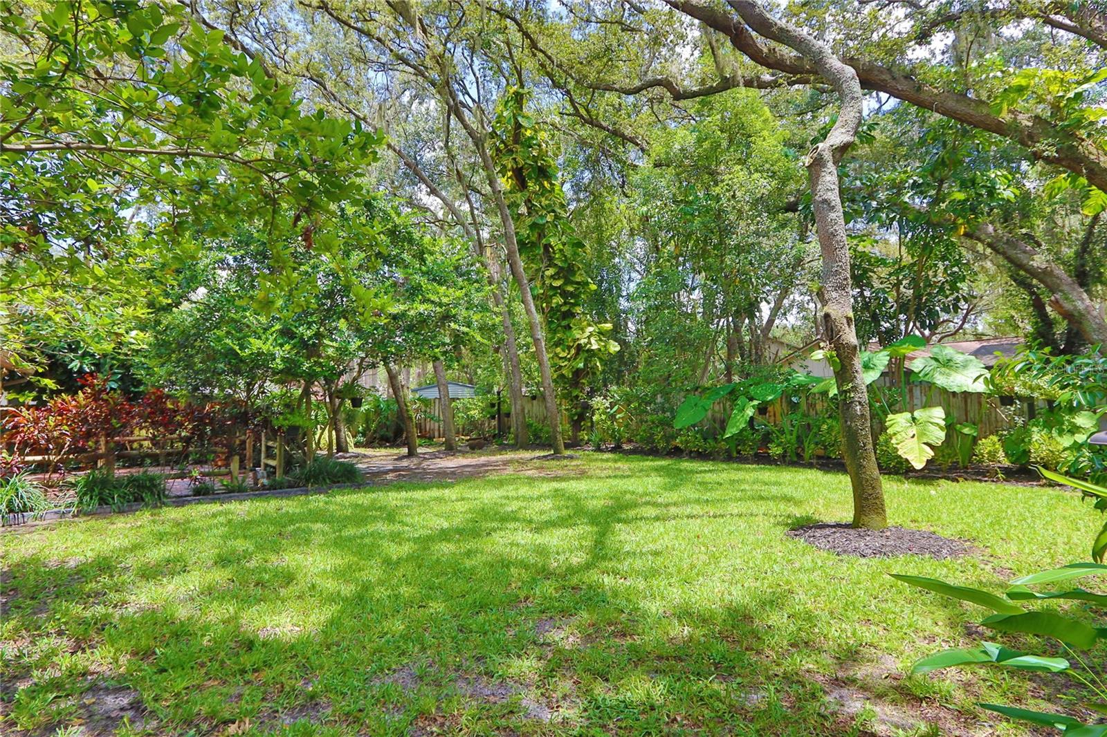 BACK YARD