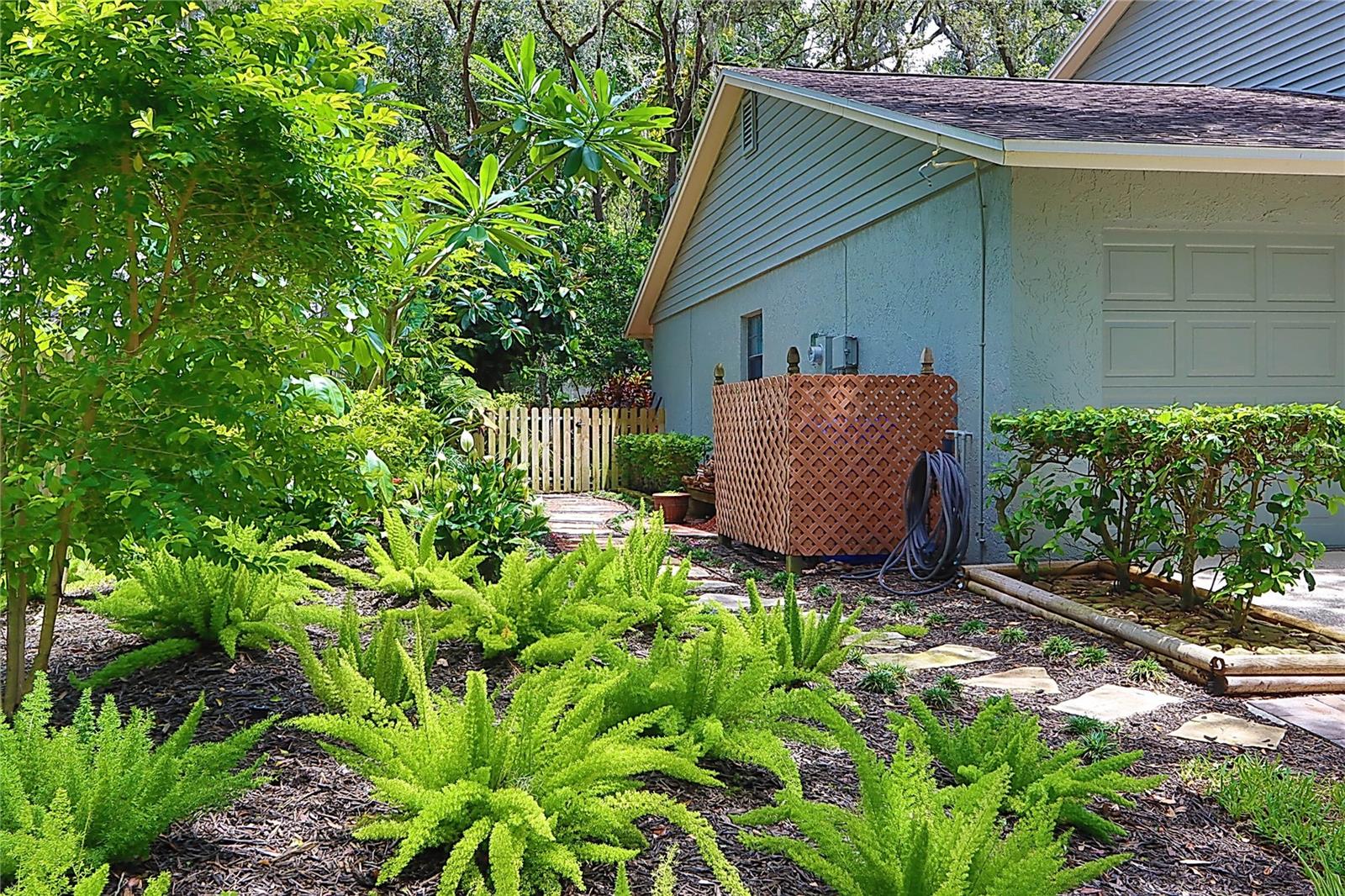 SIDE YARD