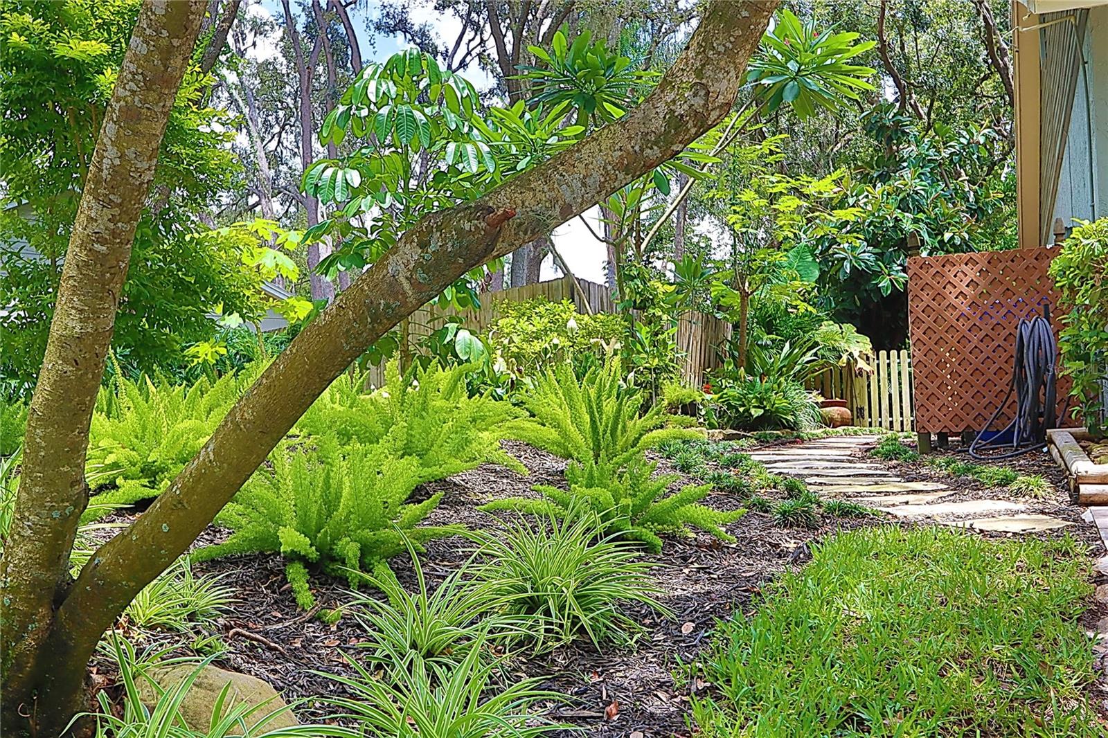 SIDE YARD