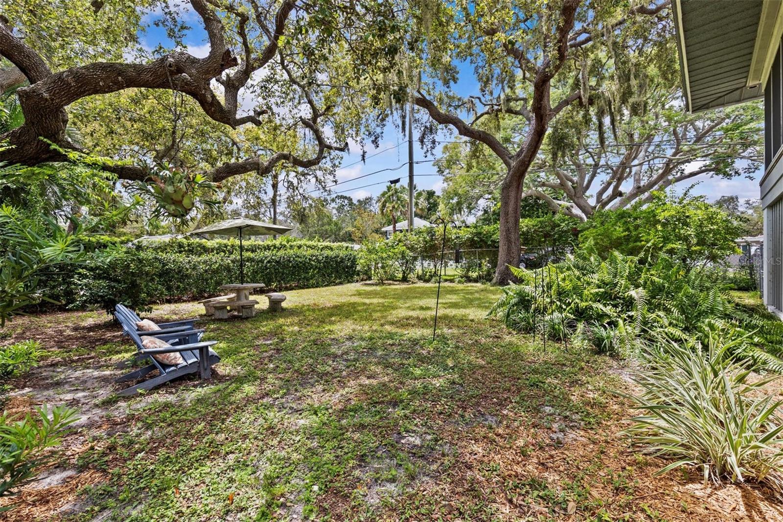 backyard