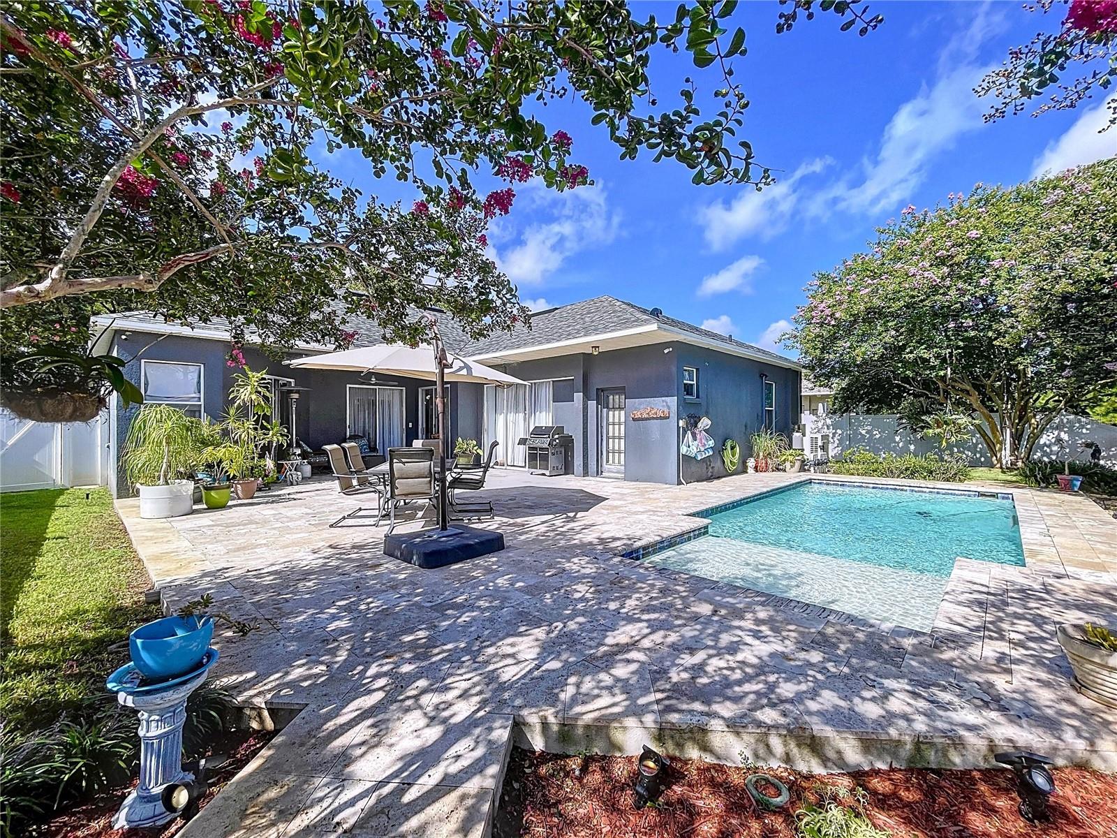 Pool Oasis