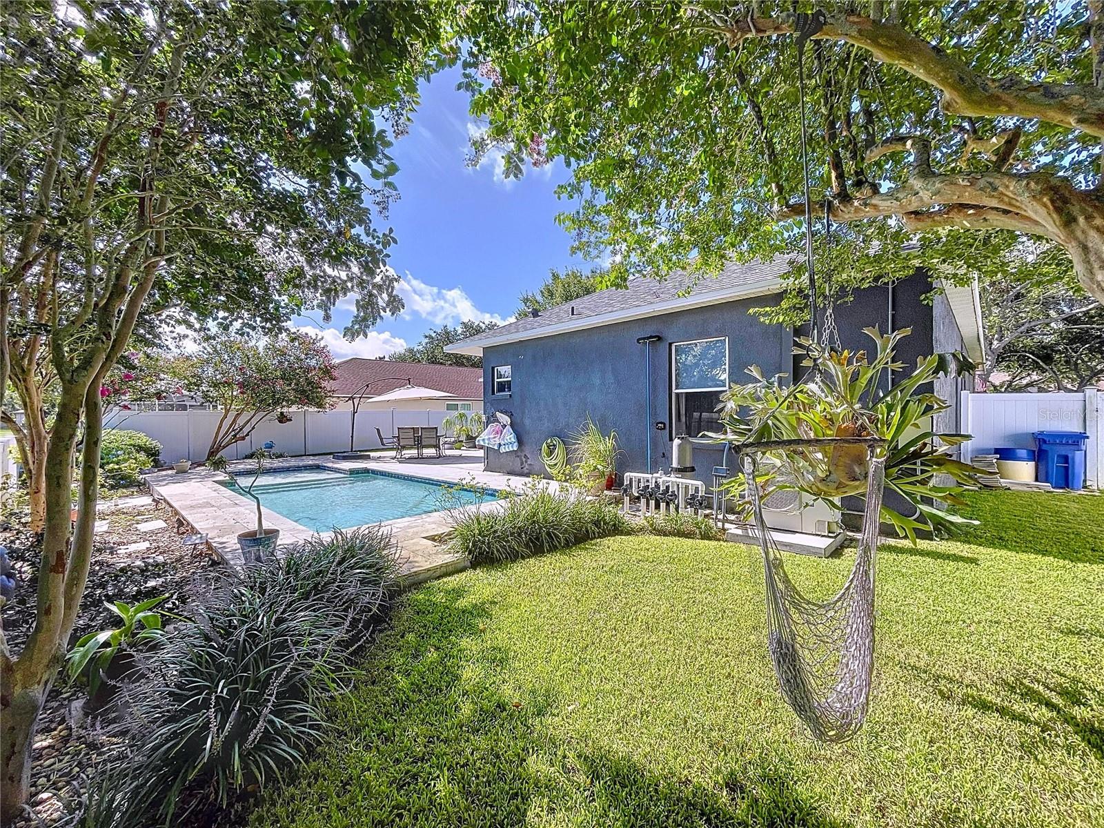 Backyard and Pool