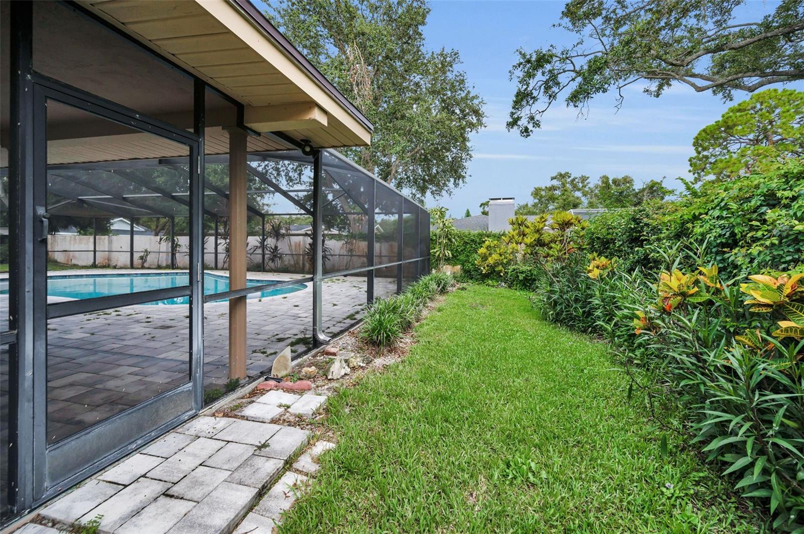 Backyard