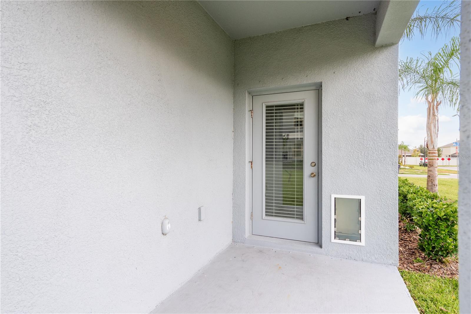 Back Door & Patio