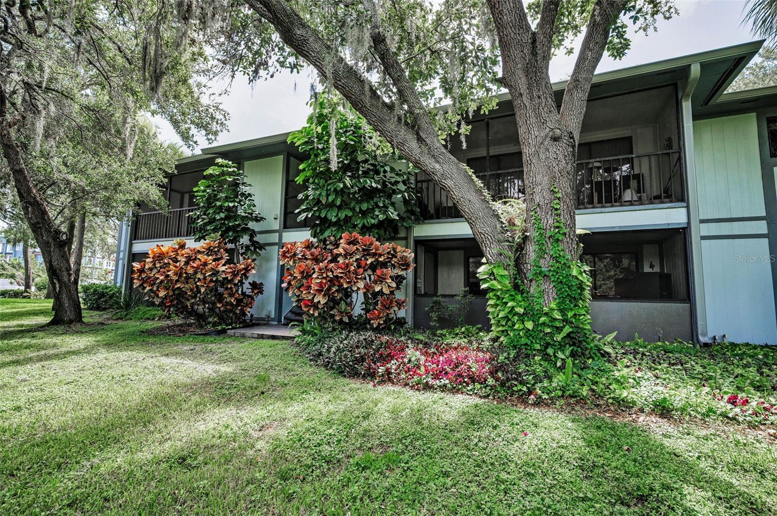 Back Exterior