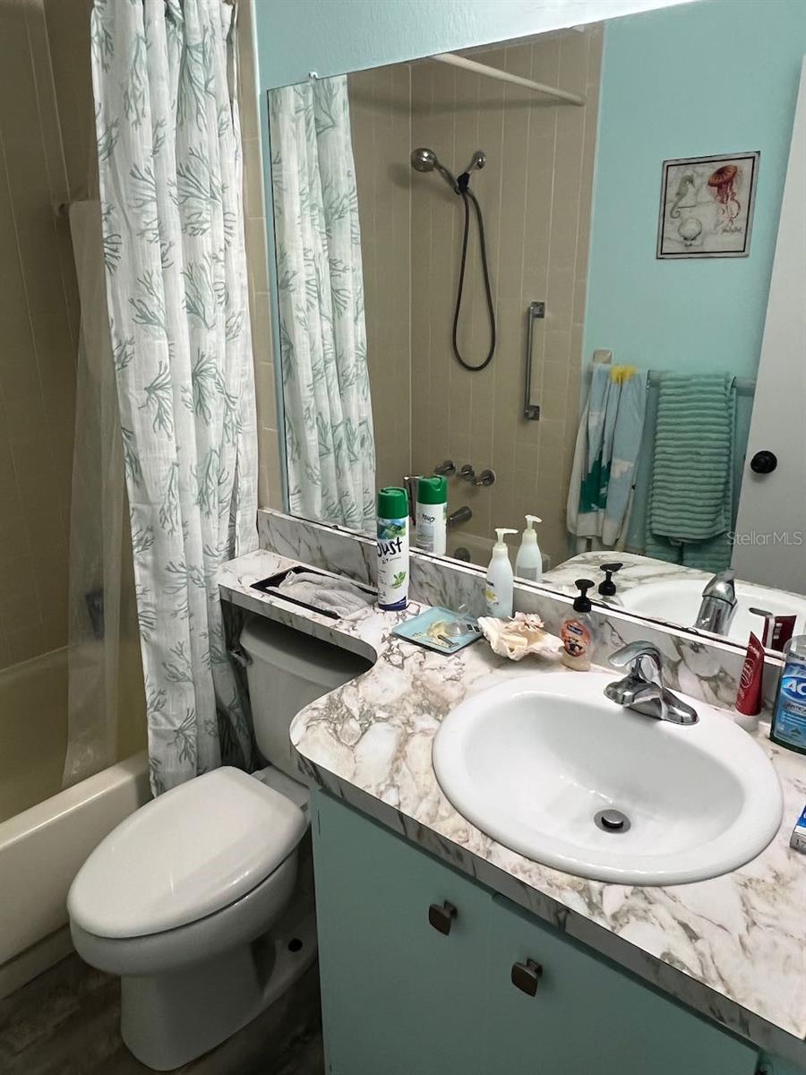 Guest bath