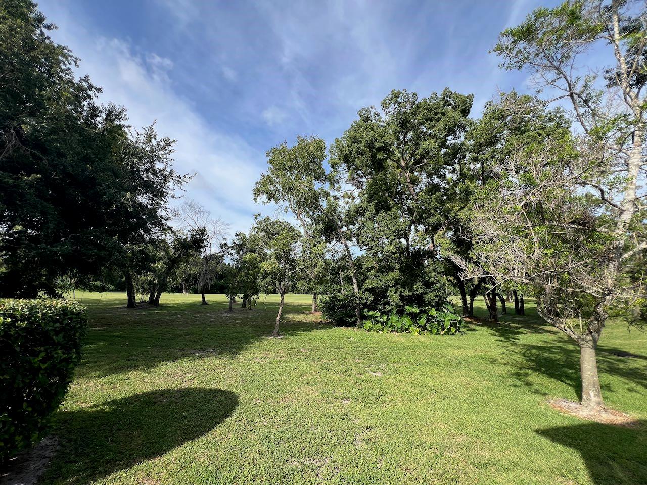 Golf course view