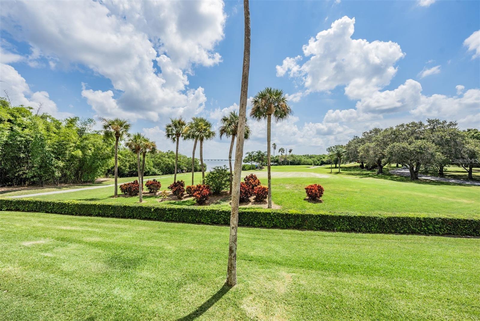 View of Golf Course and Tampa Bay