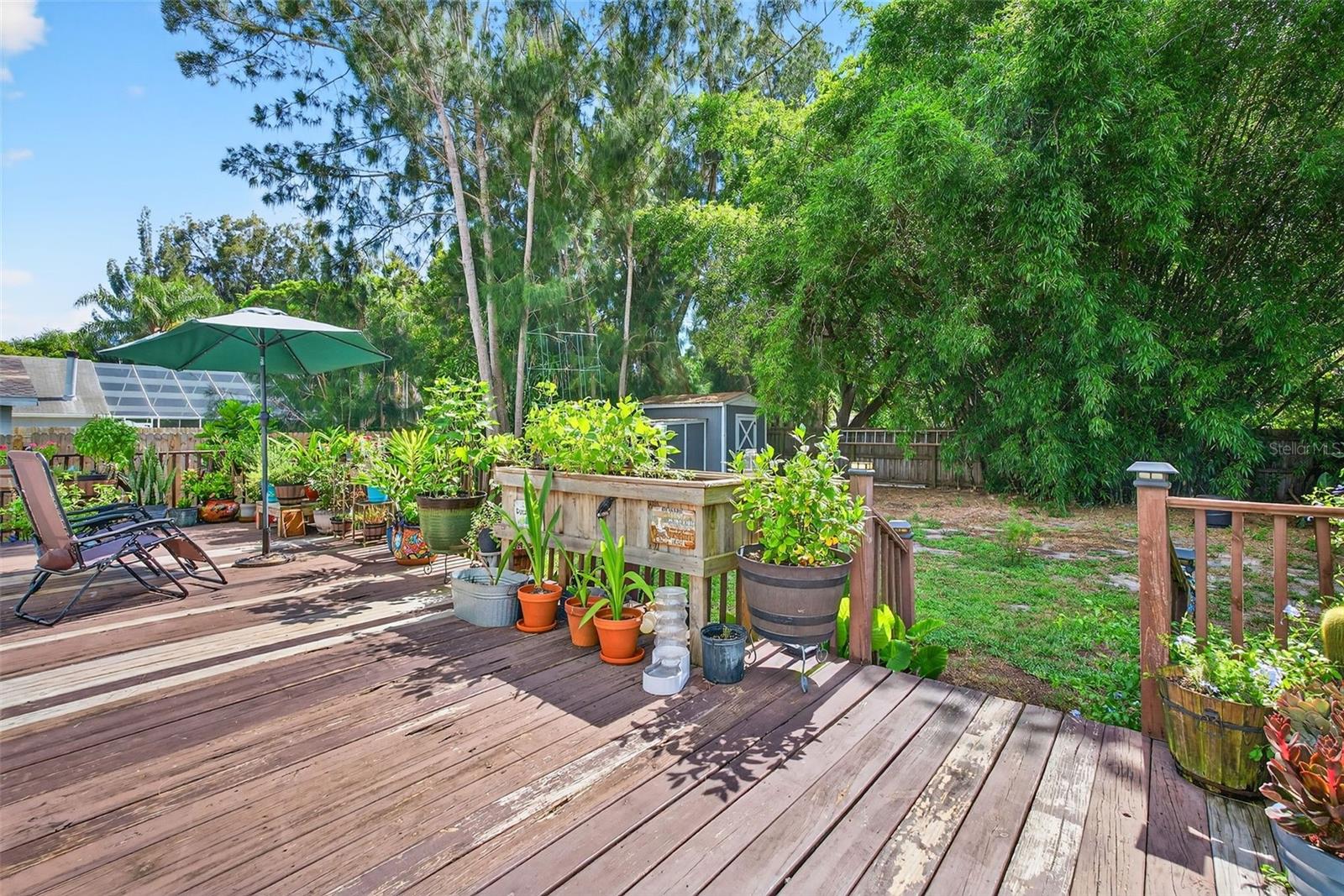 Back Patio