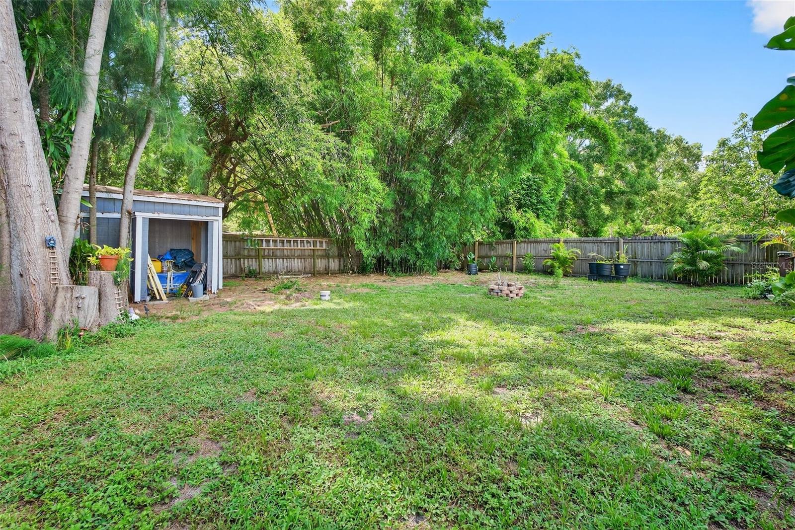 Backyard