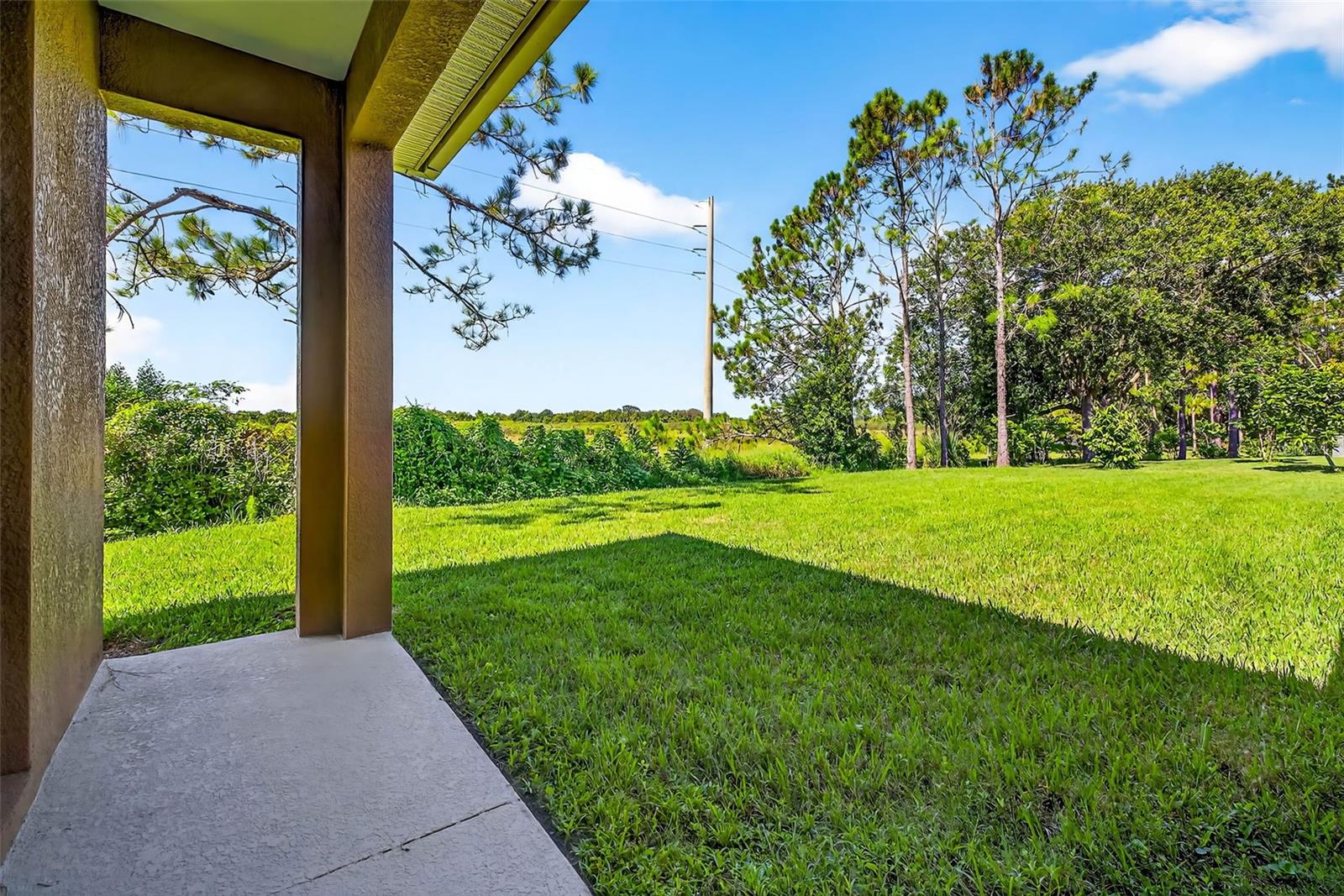 Plenty of yard space