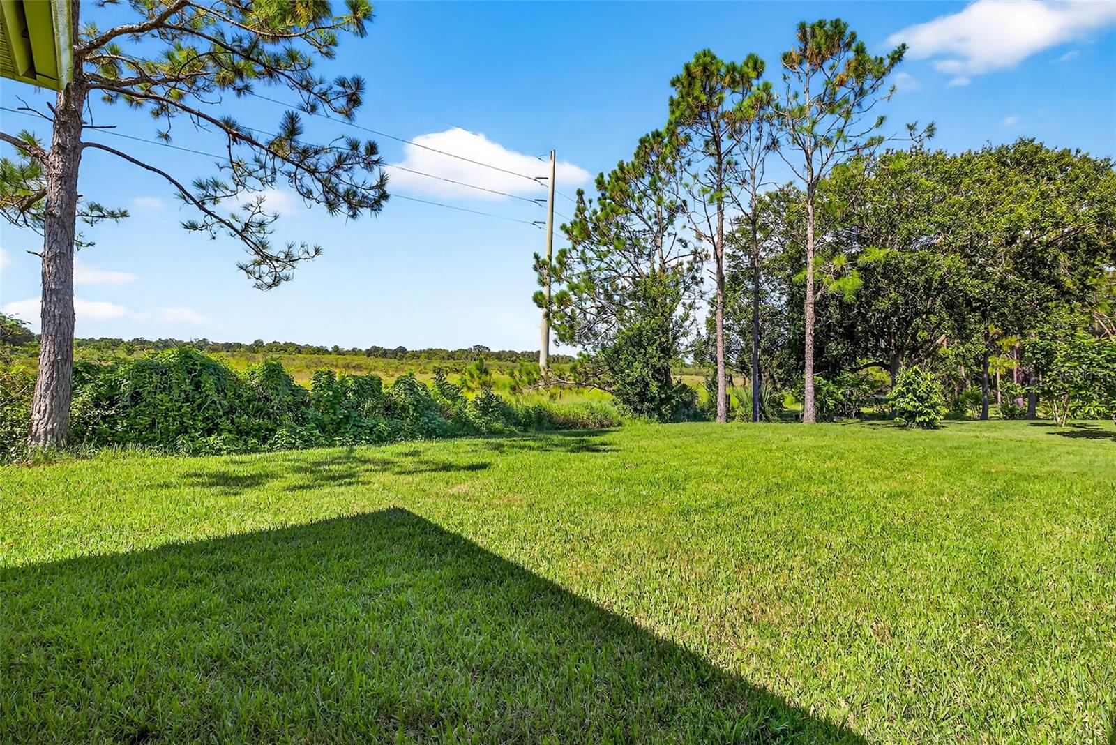 Endless opportunity with this backyard.