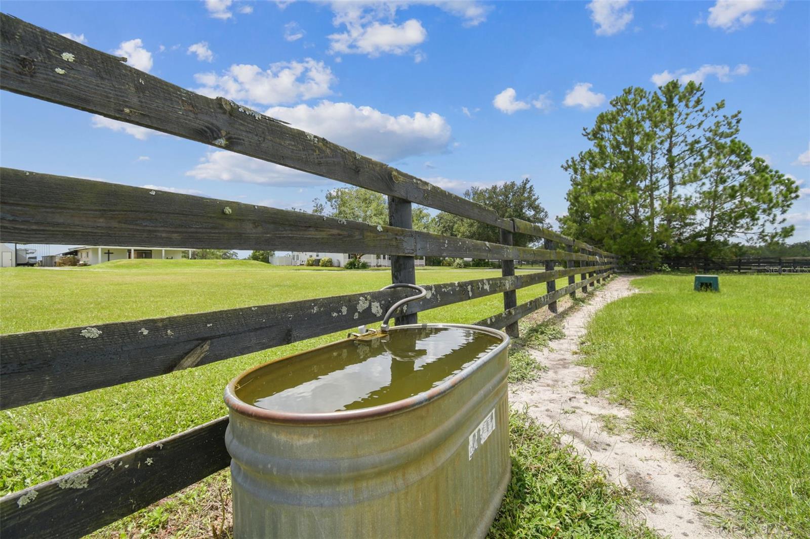 Auto Waterers in each of the 5 paddocks