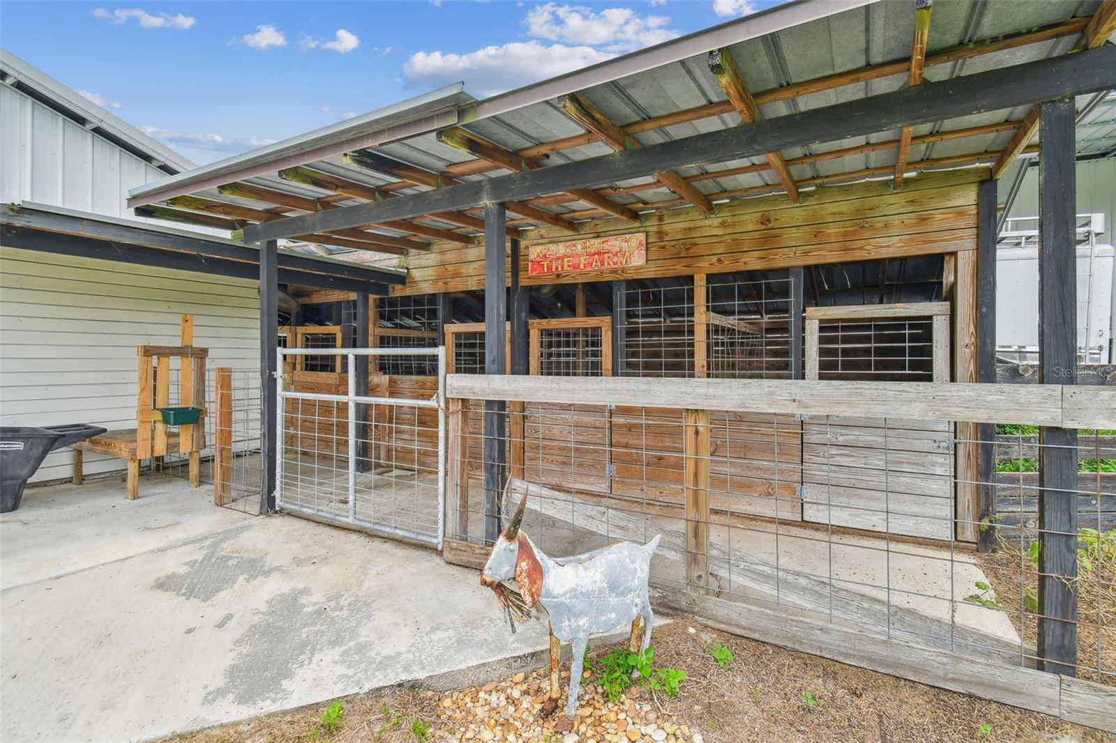 Mini horse or goat barn also with auto waterers