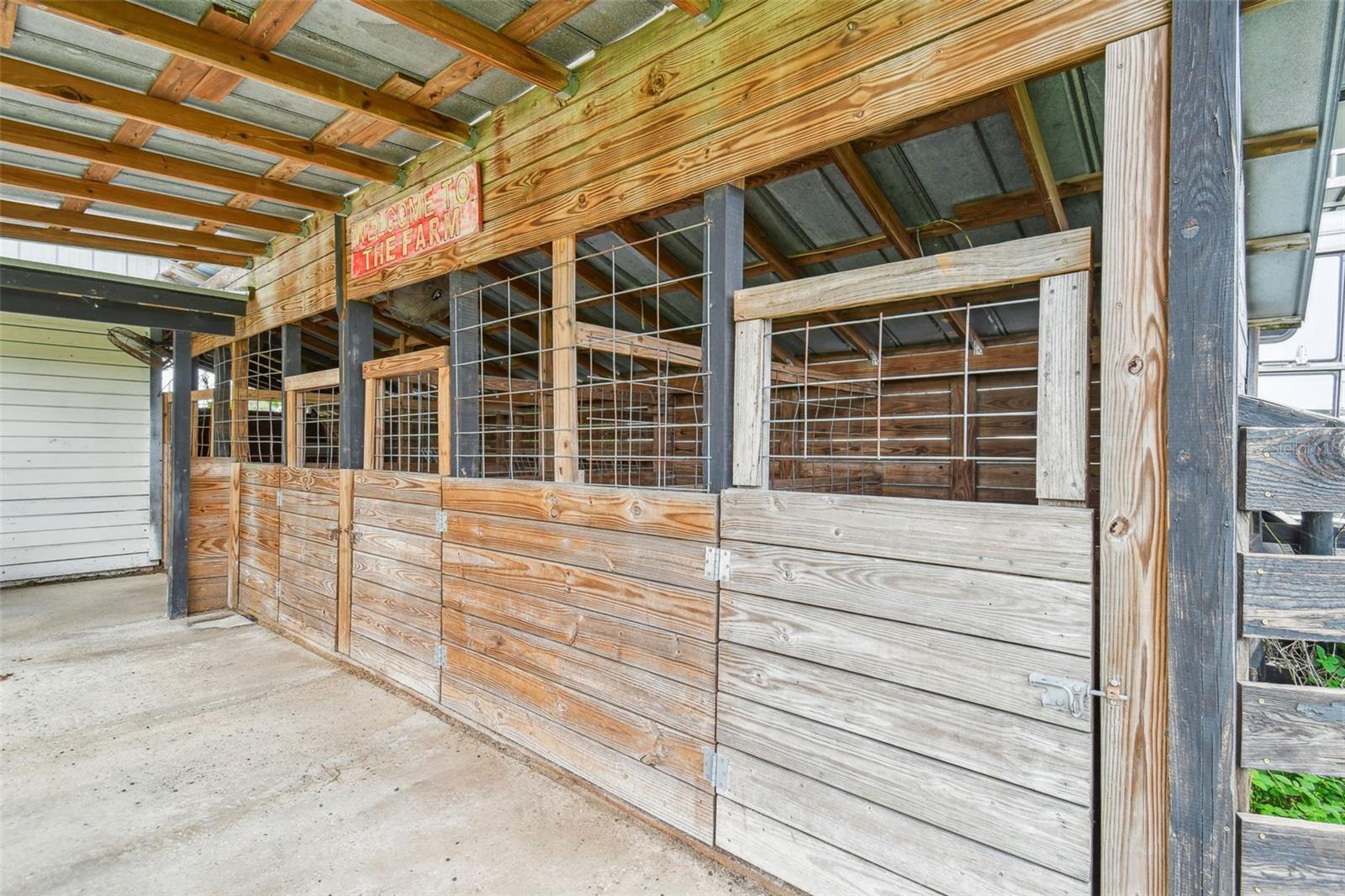 Mini  horse or goat barn